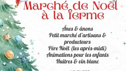 Marché de Noël chez Juli’Anesse