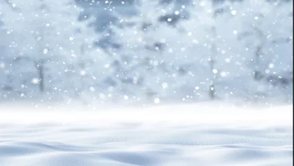 Spectacle « Blanc Manteau »