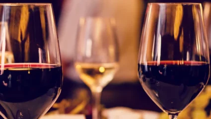 Portes Ouvertes – Le domaine les 4 vents