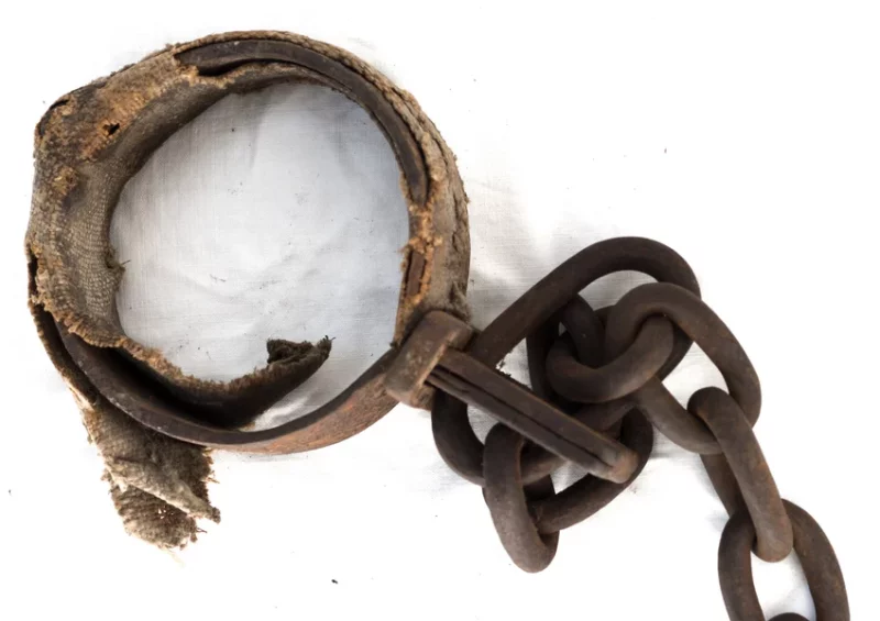 Zoo humains l’invention du sauvage