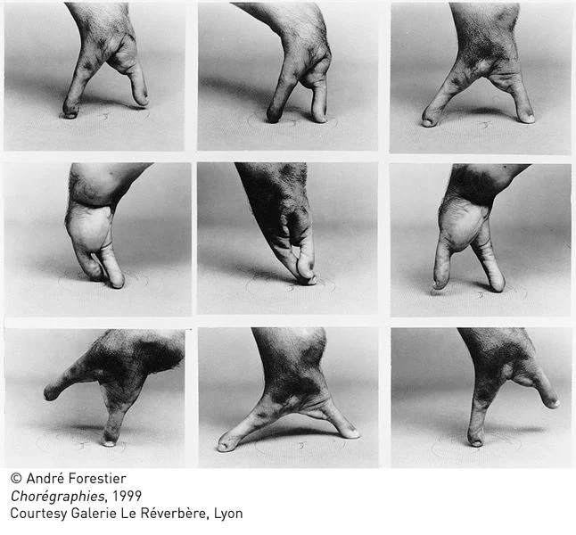 Exposition photographique « Se découvrir du corps »