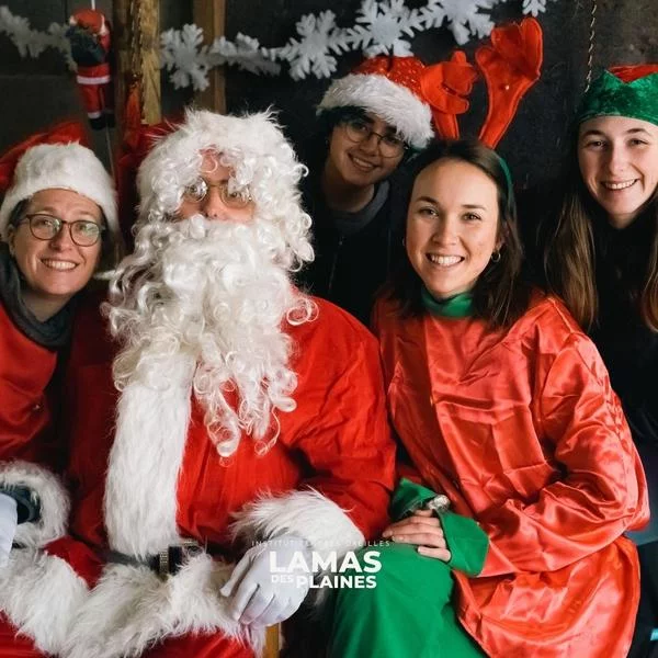 Noël avec les Lamas des Plaines