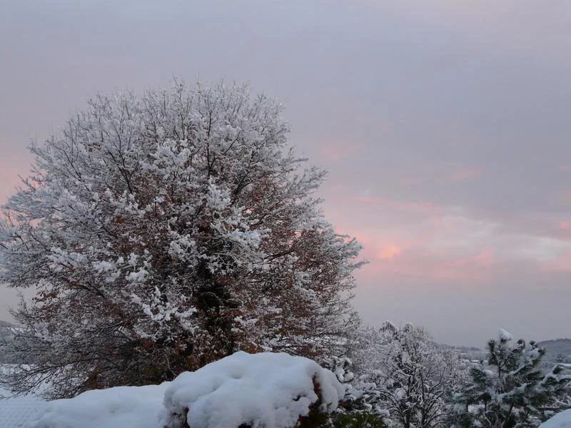 Exposition « Hivers Blancs » – Patrimoine Herbasse