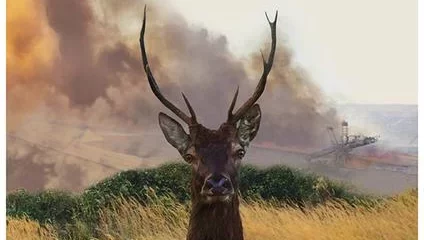 Projection « Le vivant qui se défend »