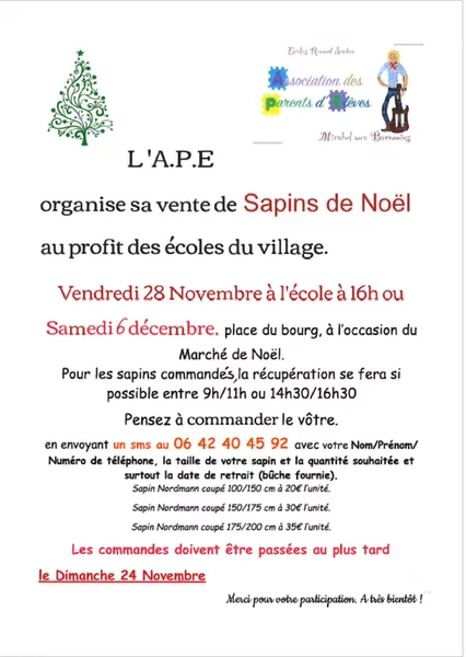 Vente de sapins de Noel