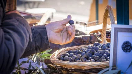 L’olive et huile en fête