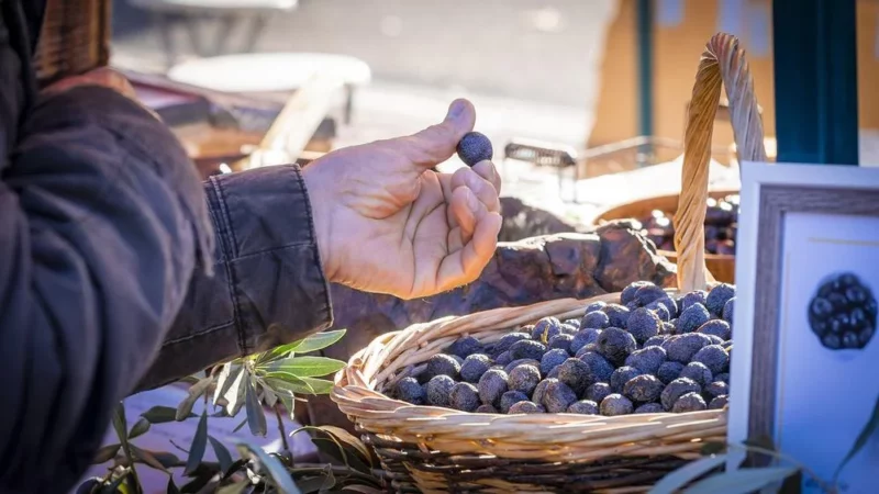 L’olive et huile en fête