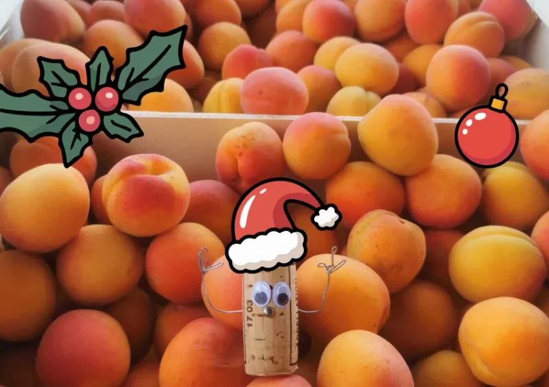 Soirée de Noël à la Maison Gobert