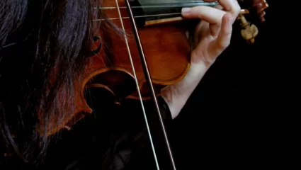 Les Violons au temps de Brillat-Savarin – Vochora