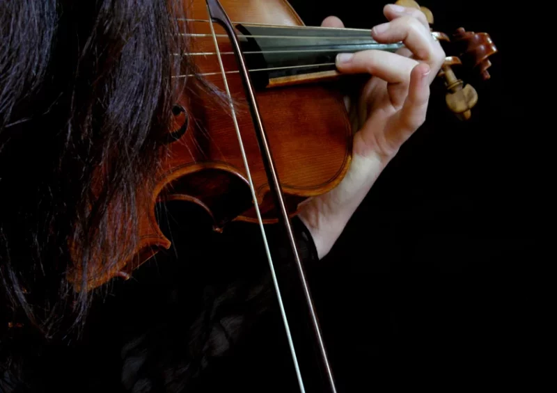 Les Violons au temps de Brillat-Savarin – Vochora