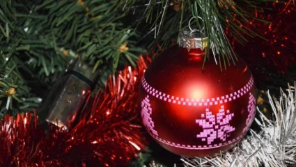 Spectacle : Cam & Léon à la recherche du Père Noël