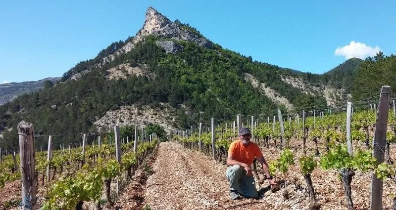 Visite Guidée – Domaine Long