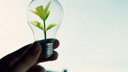 Zone critique – sortie de résidence