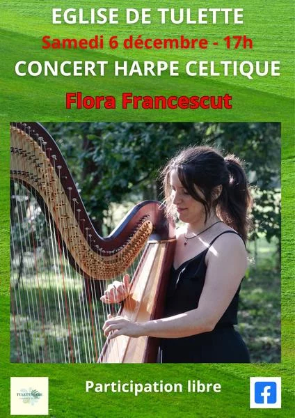 Concert Harpe Celtique