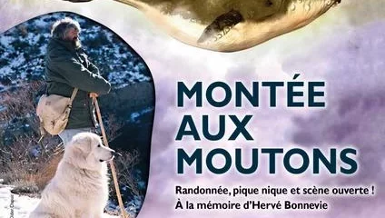 Festival Contes et Rencontres 2025 : La montée aux moutons