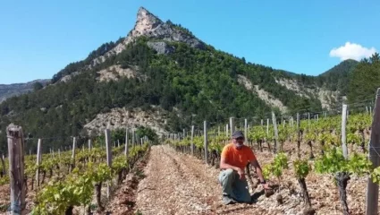 Visite Guidée – Domaine Long