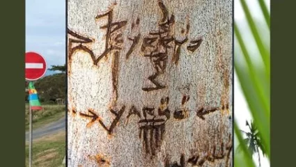 Exposition d’Alain Roth « Estafilades en Nouvelle-Calédonie »