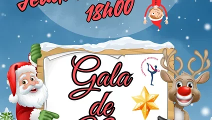 Gala de Noël de Valence Patinage Artistique