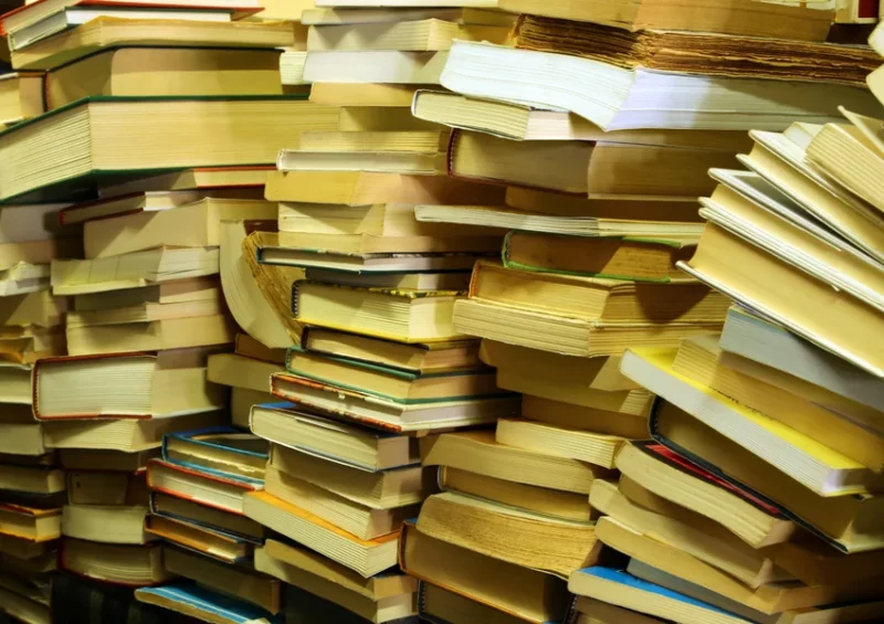 Rentrée littéraire de l’association Tain Terre & Culture