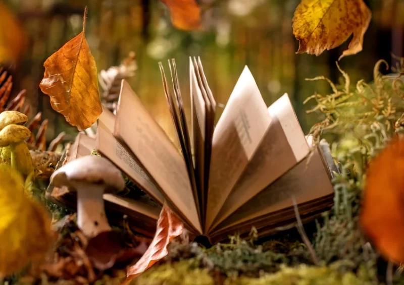 Cécile Acquaviva avec l&rsquo;arbre aux oiseaux – Chanos-Curson