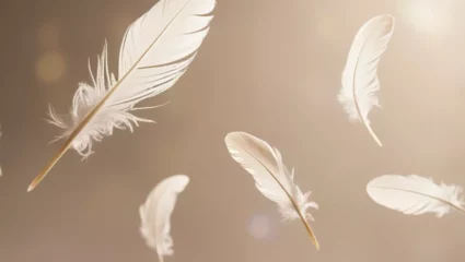 « Poulettes et compagnie » – Festival du Conte des Collines