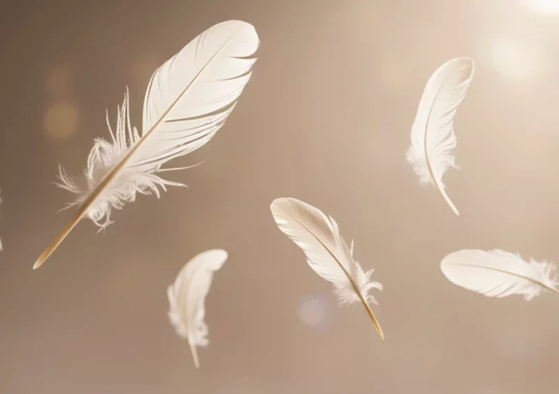 « Poulettes et compagnie » – Festival du Conte des Collines