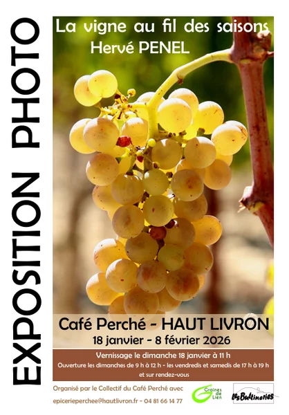 Exposition de photos « La vigne au fil des saisons »