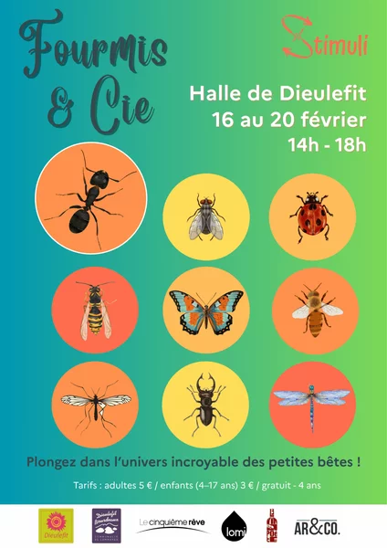 Exposition « Fourmis & cie » – Stimuli Micro-folie