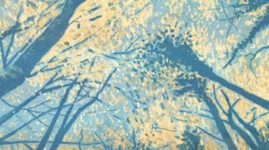 Exposition balade à Saoû