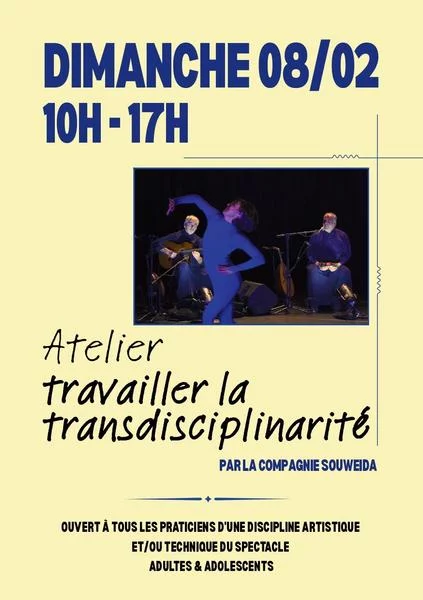Atelier travailler la transdisciplinarité