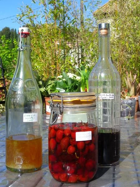 Plantes et recettes paysannes