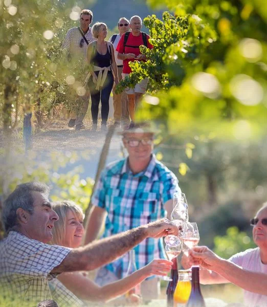 Rando apéro chez l&rsquo;unique vigneron indépendant  de nyons