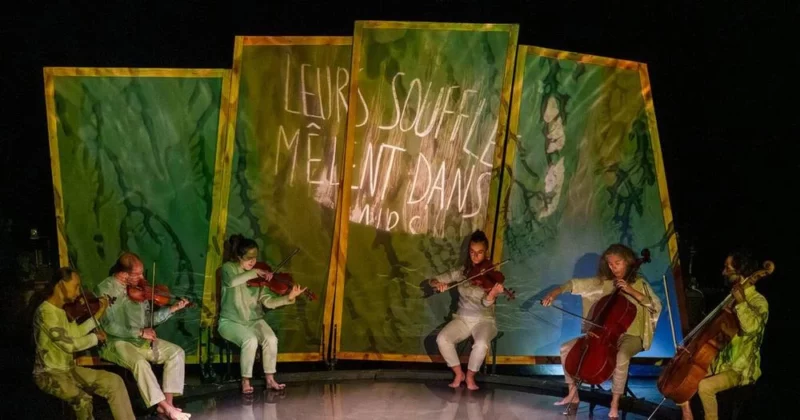 Théâtre d&rsquo;ombre et musique live – La nuit transfigurée – Cie Théâtre de nuit