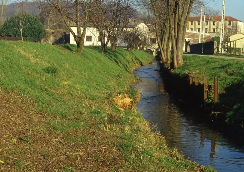 Visite commentée du Canal – Patrimoine Herbasse