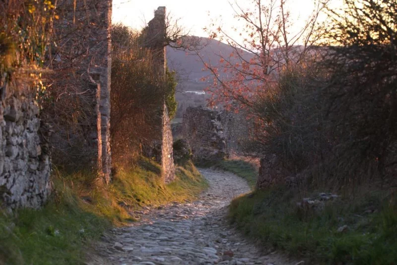 Exposition de Monsieur Grandpierre et du collectif photo