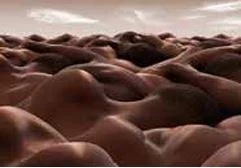 Conférence : « Corps à corps les mirages du paysage » par Catherine de Buzon