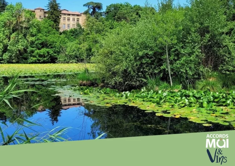 La marche des saveurs 5ème édition – Chavannes