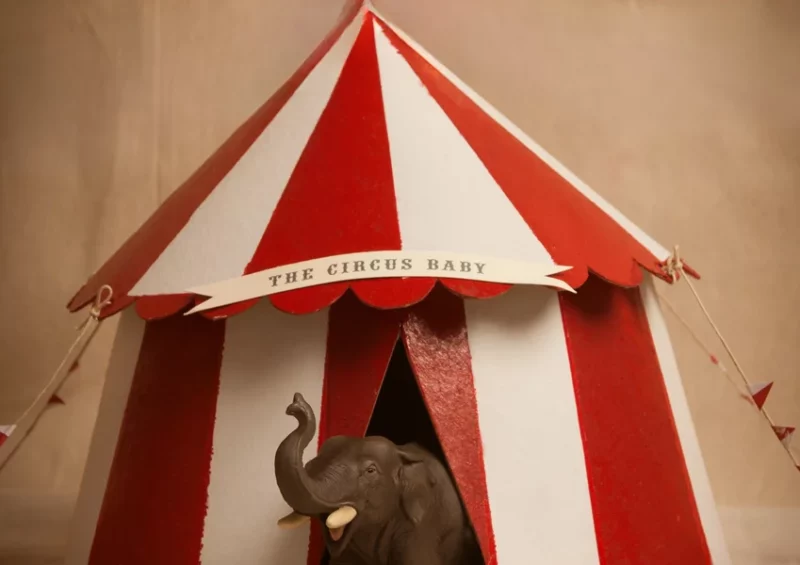 Spectacle de cirque – Printemps des droits des femmes