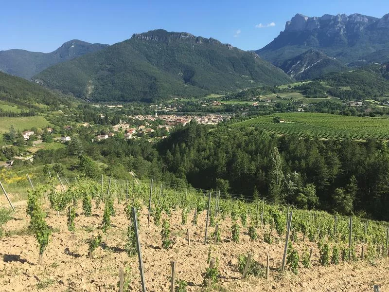 La Drôme de ferme en ferme – Domaine Jean Claude Raspail et fils