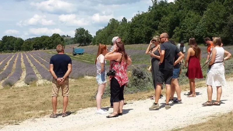 Distillerie Artisanale Vallon des Lavande