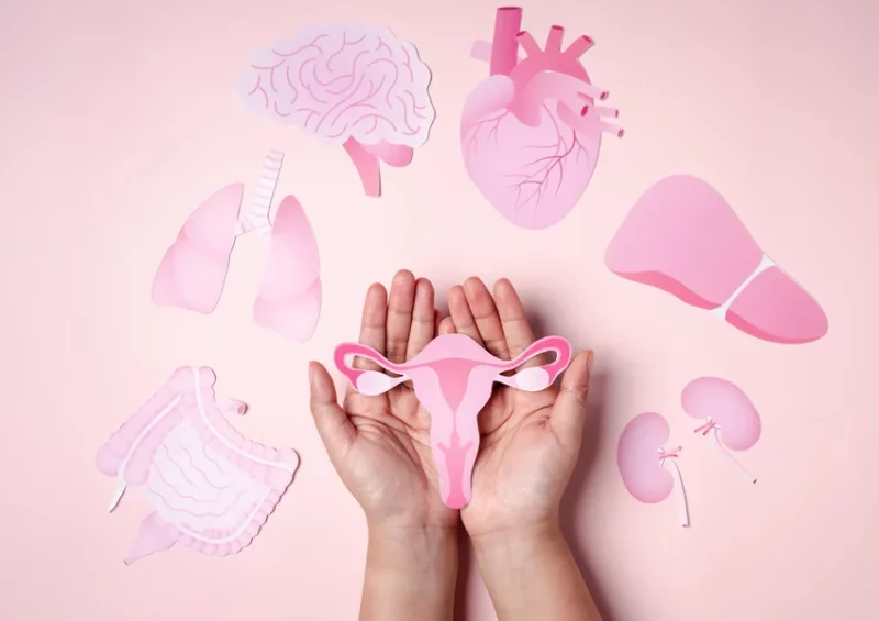 Rencontres « Les Slowpreneuses »