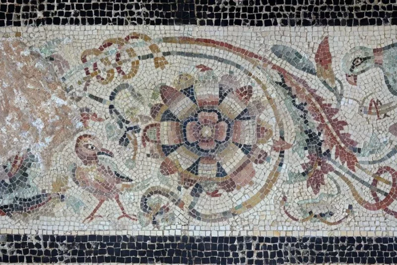 Visite contée  » mais où sont les oiseaux  »  – Les mercredis en famille